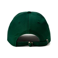 Big Dick is Back in Town Dad Hat  - Danny Duncan