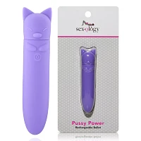 Pussy Power 8-Function Rechargeable Waterproof Bullet Vibrator 5.3 Inch - Sexology