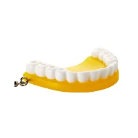 Yellow & Green Denture Dangle Earrings