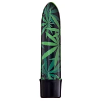 High Times 10-Function Waterproof Bullet Vibrator 5 Inch - Sexology