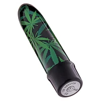 High Times 10-Function Waterproof Bullet Vibrator 5 Inch - Sexology