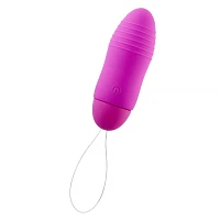 Discreet AF 10-Function Wireless Remote Control Rechargeable Waterproof Bullet Vibrator Fuchsia - 3 Inch