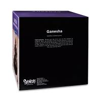 Ganesha Backflow Burner