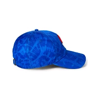 Pokeball Pokémon Dad Hat