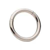 Silvertone Hinged Hoop Earring