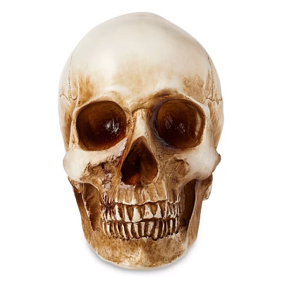 LED Skull Light