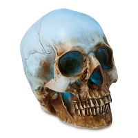 LED Skull Light