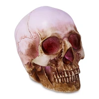 LED Skull Light