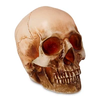 LED Skull Light