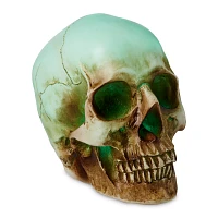 LED Skull Light