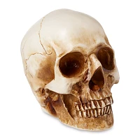 LED Skull Light
