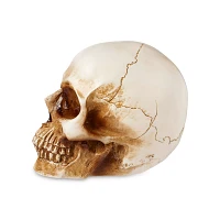 LED Skull Light