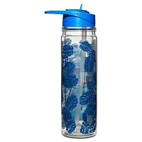 Stitch Cartoon Water Bottle - Lilo & Stitch