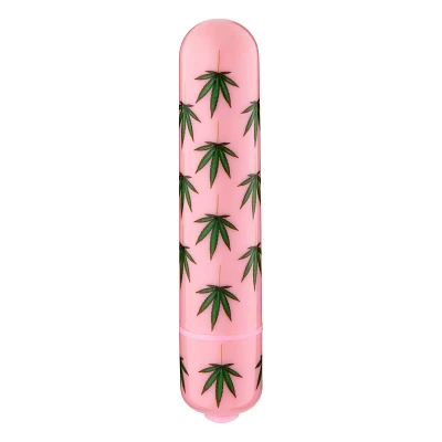 Mary Jane 10-Function Waterproof Bullet Vibrator 3.3 Inch - Sexology