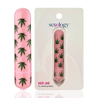 Mary Jane 10-Function Waterproof Bullet Vibrator 3.3 Inch - Sexology