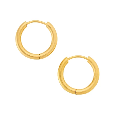 Goldtone Titanium Hoop Earrings