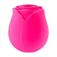 Rosé All Day 10-Function Rechargeable Clitoral Massager 2.6 Inch - Hott Love