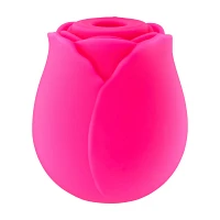 Rosé All Day 10-Function Rechargeable Clitoral Massager 2.6 Inch - Hott Love