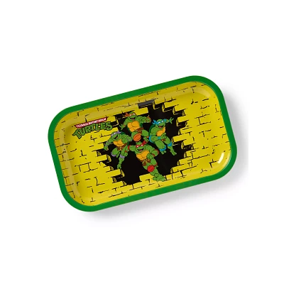 Teenage Mutant Ninja Turtles Brick Wall Tray