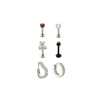 Multi-Pack CZ Labrets and Huggie Earrings 6 Pack - 16-18 Gauge