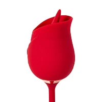 Secret Garden 2 in 1 Thrusting Massager - Hott Love Extreme