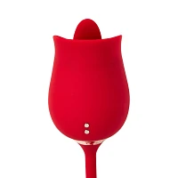 Secret Garden 2 in 1 Thrusting Massager - Hott Love Extreme