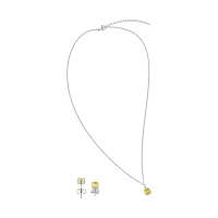 November Birthstone Necklace and Earring Set