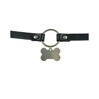 Pleasure Bound Puppy Play Collar and Leash