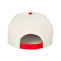 Pokémon Trainer Grandpa Hat