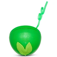Watermelon Sipper Cup with Straw - 17 oz.