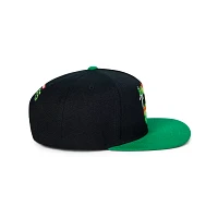 Raphael Snapback Hat - Teenage Mutant Ninja Turtles