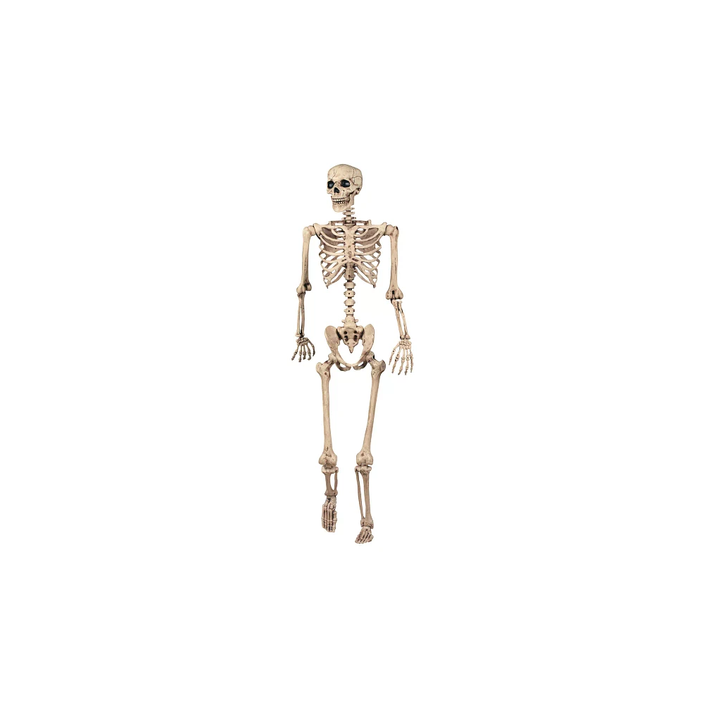 5 Ft Pose 'N' Stay Skeleton