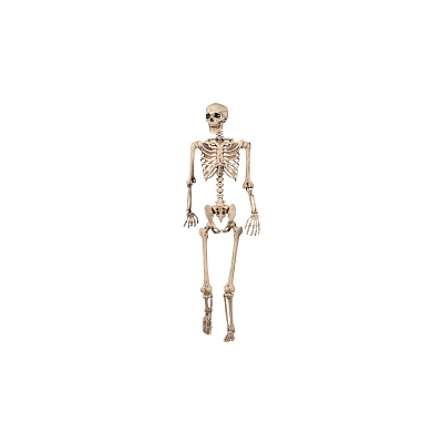 5 Ft Pose 'N' Stay Skeleton