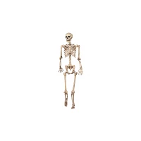 5 Ft Pose 'N' Stay Skeleton
