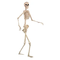 5 Ft Pose 'N' Stay Skeleton