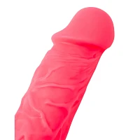Suction Cup Dildo with Balls Pink - 5 Inch