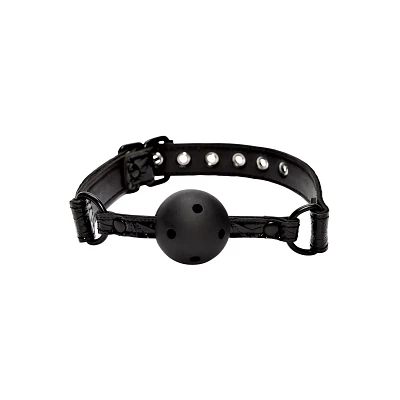 Black Ball Gag