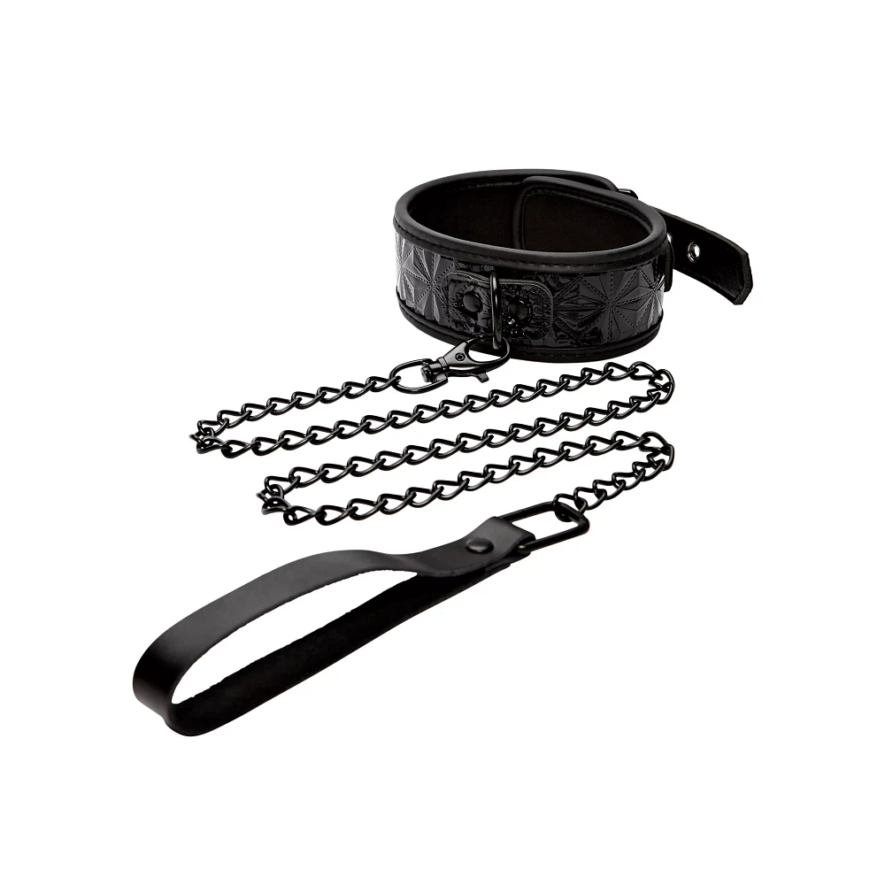 Black Collar and Leash