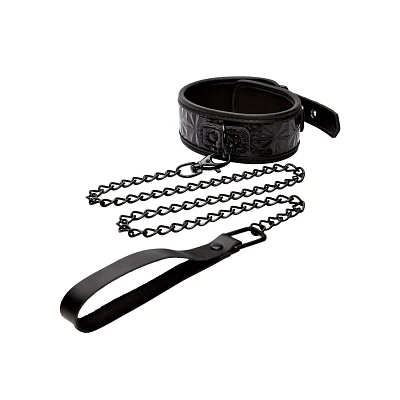 Black Collar and Leash