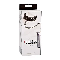 Black Collar and Leash
