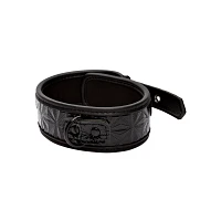 Black Collar and Leash