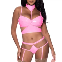 Demi Bra, Harness, Garter and Panties Set