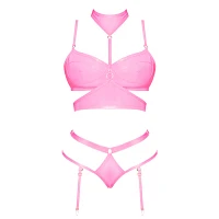 Demi Bra, Harness, Garter and Panties Set