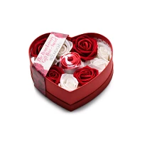 10-Function Rose Rechargeable Waterproof Clitoral Stimulator Gift Box Red - Bloomgasm