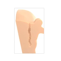 Perfect Ride Hands-Free Masturbator - Light Beige