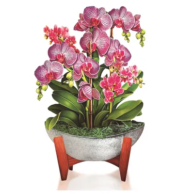 Pop-Up Greeting Card Orchid Oasis