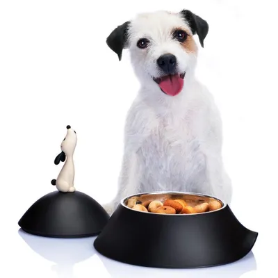 Alessi Lula Dog Bowl