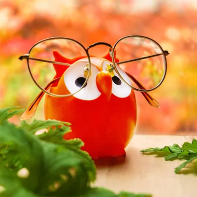 Pylones Owl Eye Glasses Holder