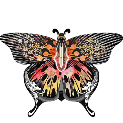 Wall Decorative Box Madama Butterfly