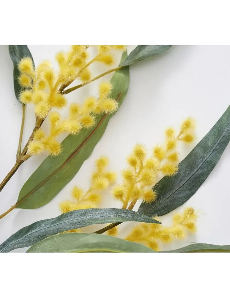 Rama decorativa Acacia Blooming